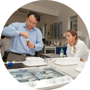 Lab Test Round